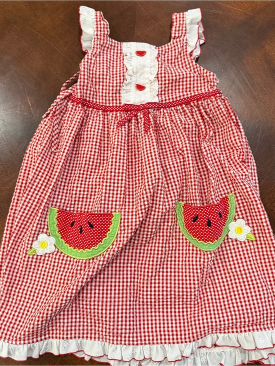 Youngland Other - Red Gingham Youngland Watermelon Appliqué Sleeveless Sundress Sx 6X